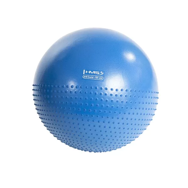 Masážní gymnastický míč HMS YB03 55 cm, modrý