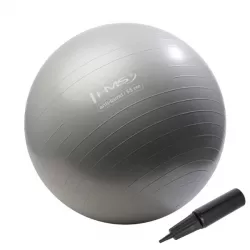 Gymnastický míč HMS YB02 55 cm šedý